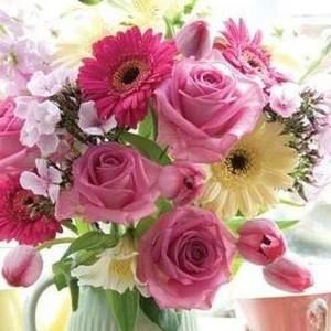 Meet your Posher, Cindy